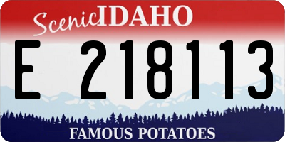ID license plate E218113