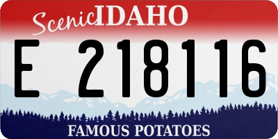 ID license plate E218116
