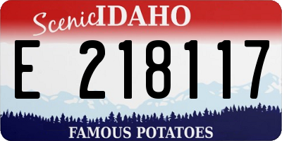 ID license plate E218117