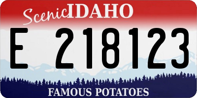 ID license plate E218123