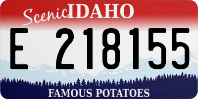 ID license plate E218155