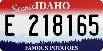 ID license plate E218165