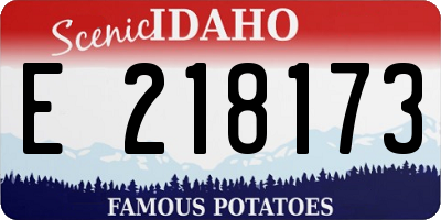 ID license plate E218173