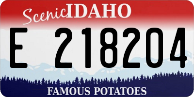 ID license plate E218204