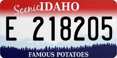 ID license plate E218205