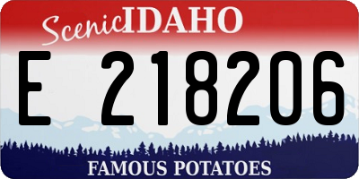 ID license plate E218206