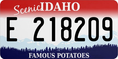 ID license plate E218209