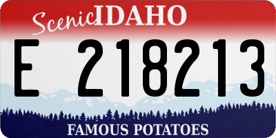 ID license plate E218213