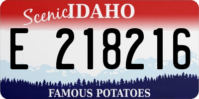 ID license plate E218216