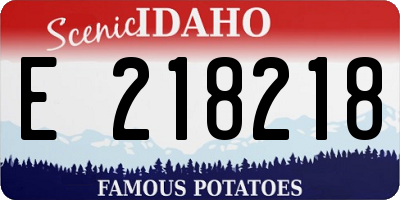 ID license plate E218218