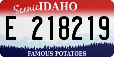 ID license plate E218219