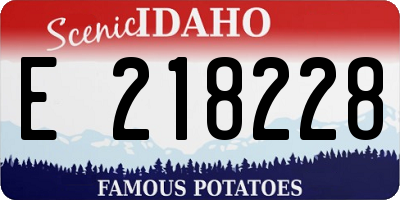 ID license plate E218228