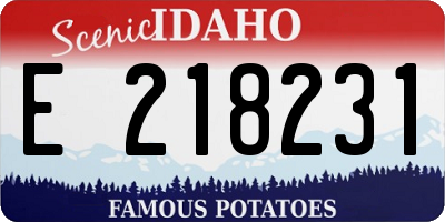 ID license plate E218231