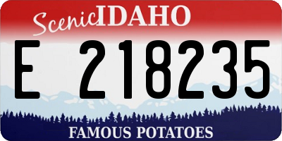 ID license plate E218235