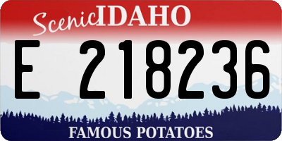 ID license plate E218236