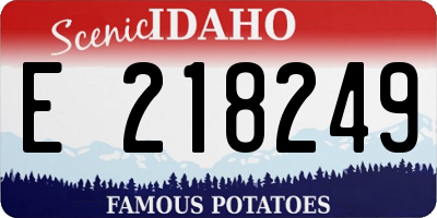 ID license plate E218249