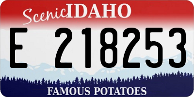ID license plate E218253