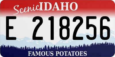 ID license plate E218256