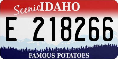 ID license plate E218266