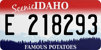 ID license plate E218293