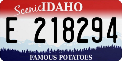 ID license plate E218294
