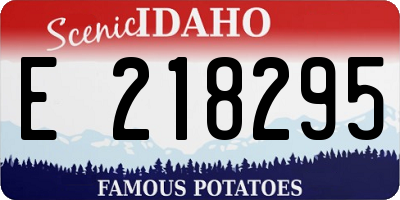ID license plate E218295