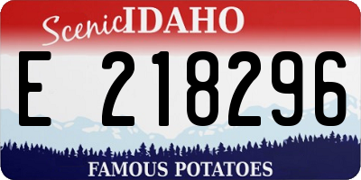 ID license plate E218296