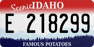 ID license plate E218299