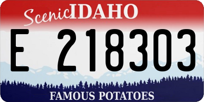 ID license plate E218303