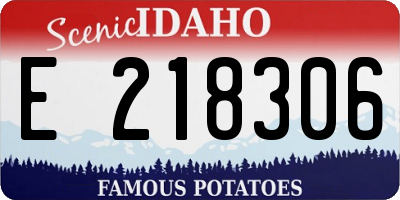 ID license plate E218306