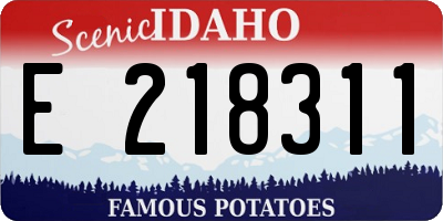 ID license plate E218311