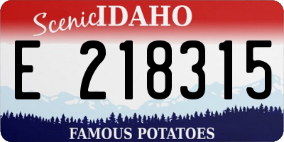 ID license plate E218315