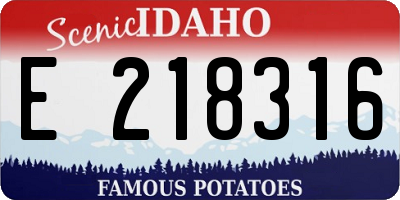 ID license plate E218316