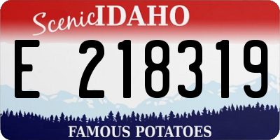 ID license plate E218319