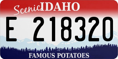 ID license plate E218320
