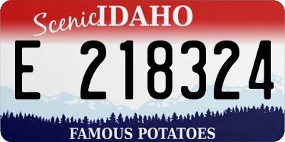 ID license plate E218324