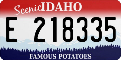 ID license plate E218335