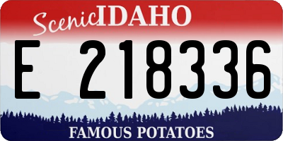 ID license plate E218336