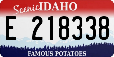 ID license plate E218338