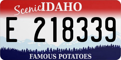 ID license plate E218339