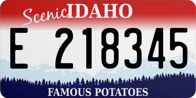ID license plate E218345
