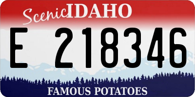 ID license plate E218346