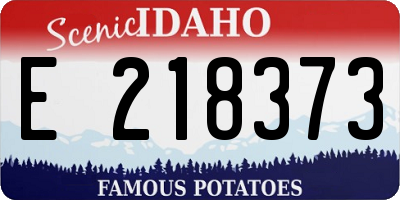 ID license plate E218373