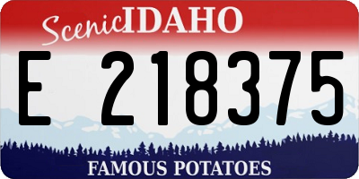 ID license plate E218375