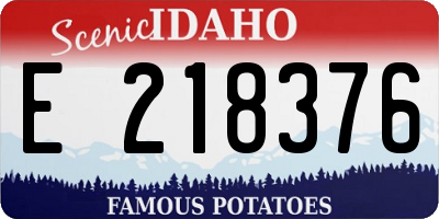 ID license plate E218376