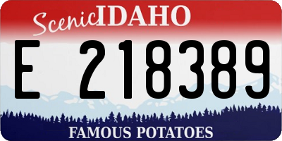 ID license plate E218389