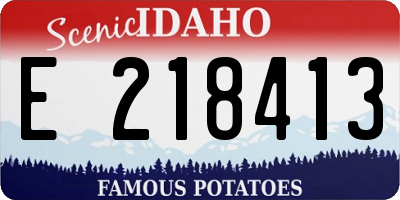 ID license plate E218413