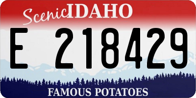 ID license plate E218429