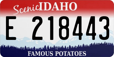ID license plate E218443