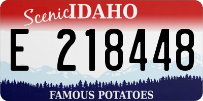 ID license plate E218448